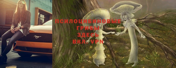 каннабис Алзамай