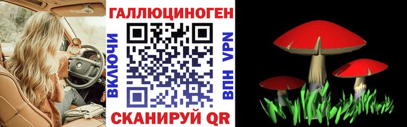 Галлюциногенные грибы GOLDEN TEACHER  Наволоки 